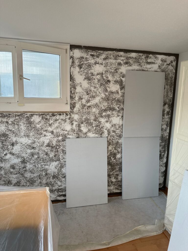  Für einen Fachbetrieb Schimmelsanierung: Ursachen Findung, statt Symptome behandeln – der wichtigste Grundsatz
