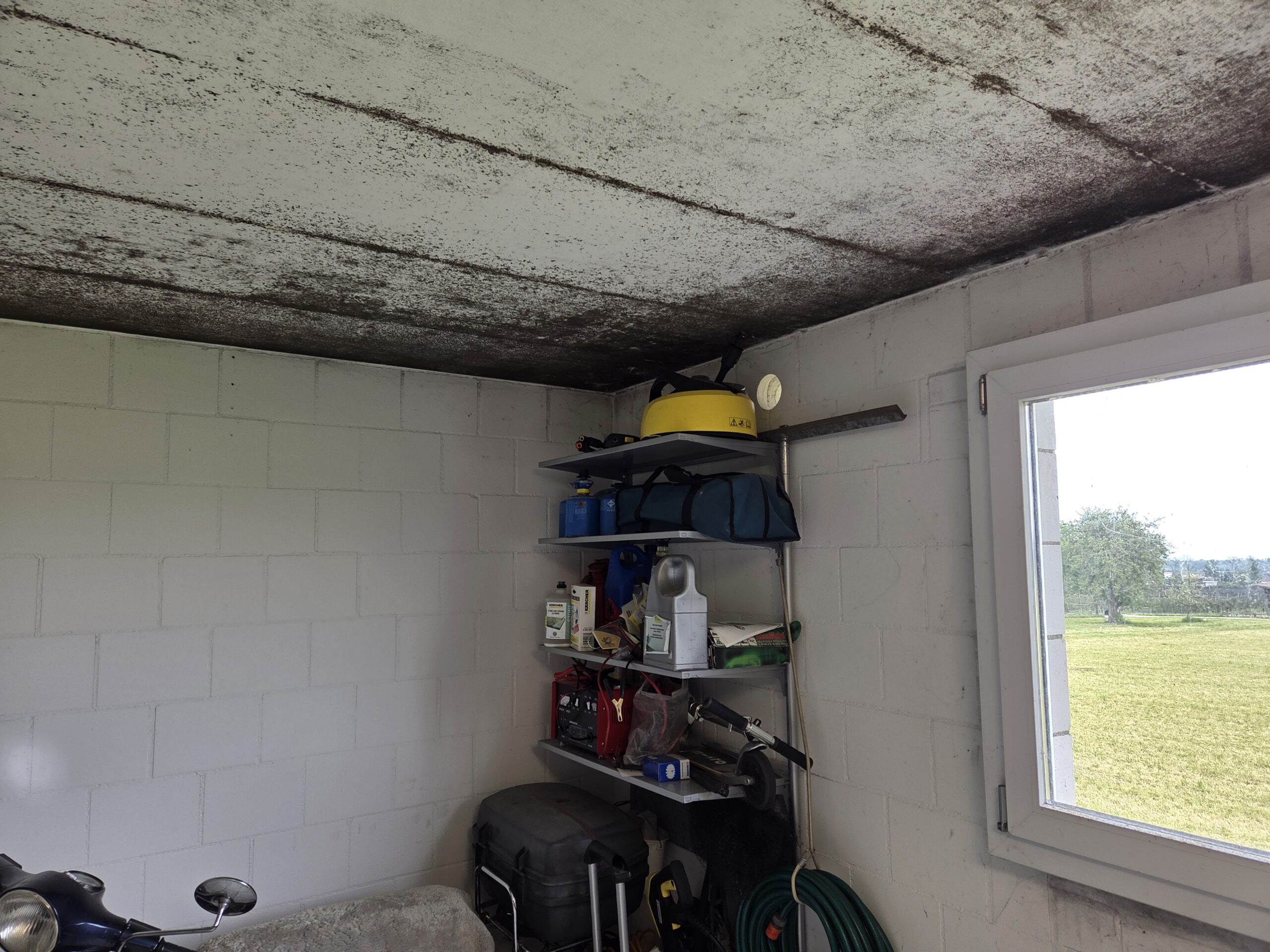 Schimmel in der Garage