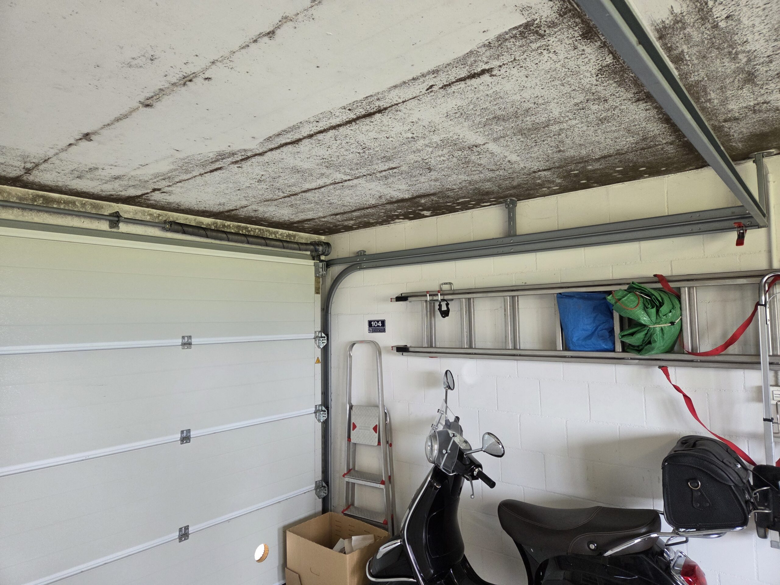 Feuchte Garage