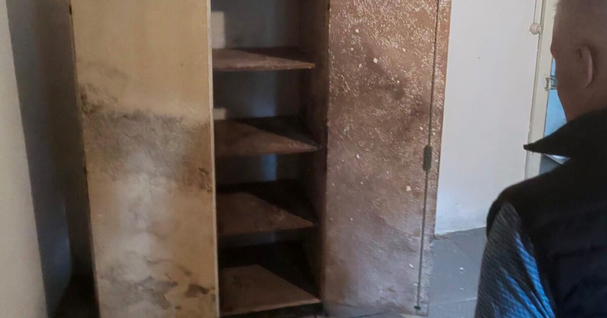 Schimmelpilz auf möbeln entfernen