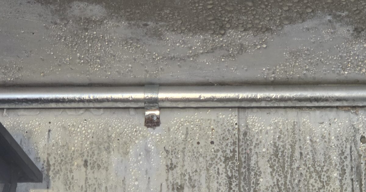 Schimmel Garagendecke: Tropfwasser & Flecken erklärt