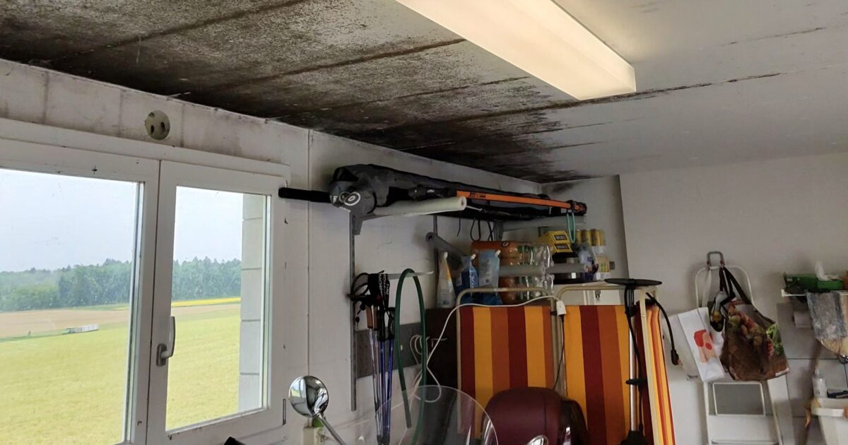 Garage richtig lüften: Stosslüften, Querzug & Saisontipps