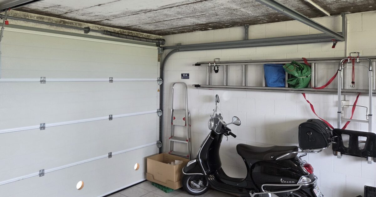 Schwarzer Schimmel Garage