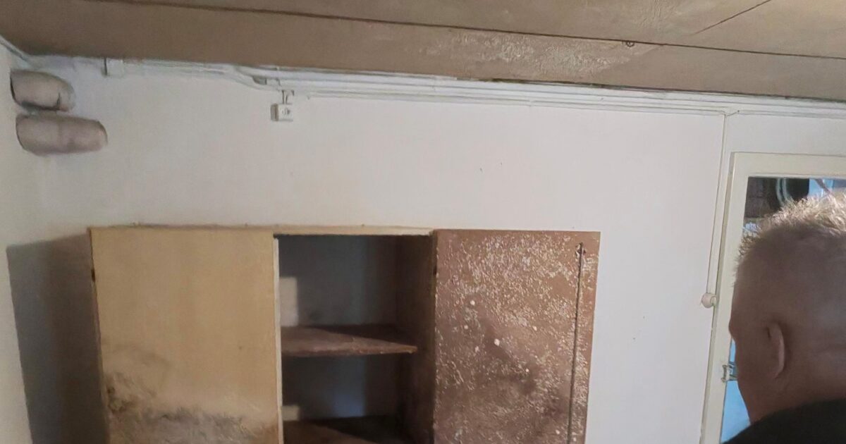 Brauner Schimmel Garage, Ursache, Risiko und richtig handeln