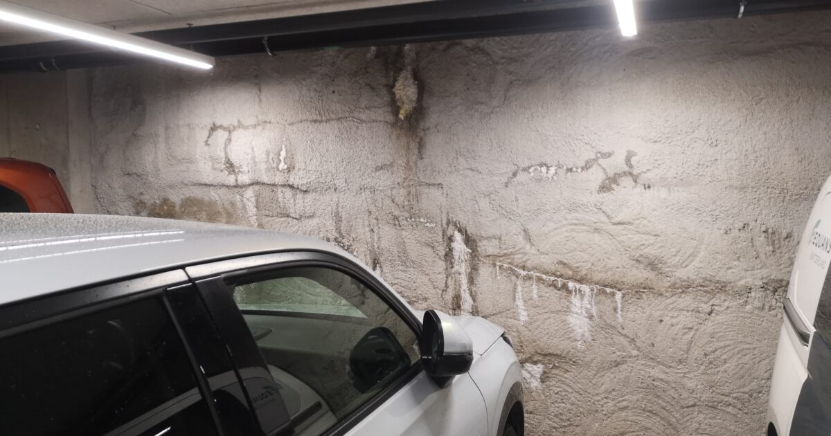 Salpeter & Salzausblühungen Garage