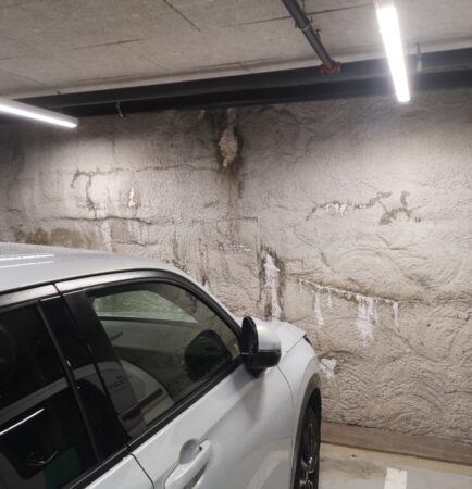 Salpeter & Salzausblühungen Garage