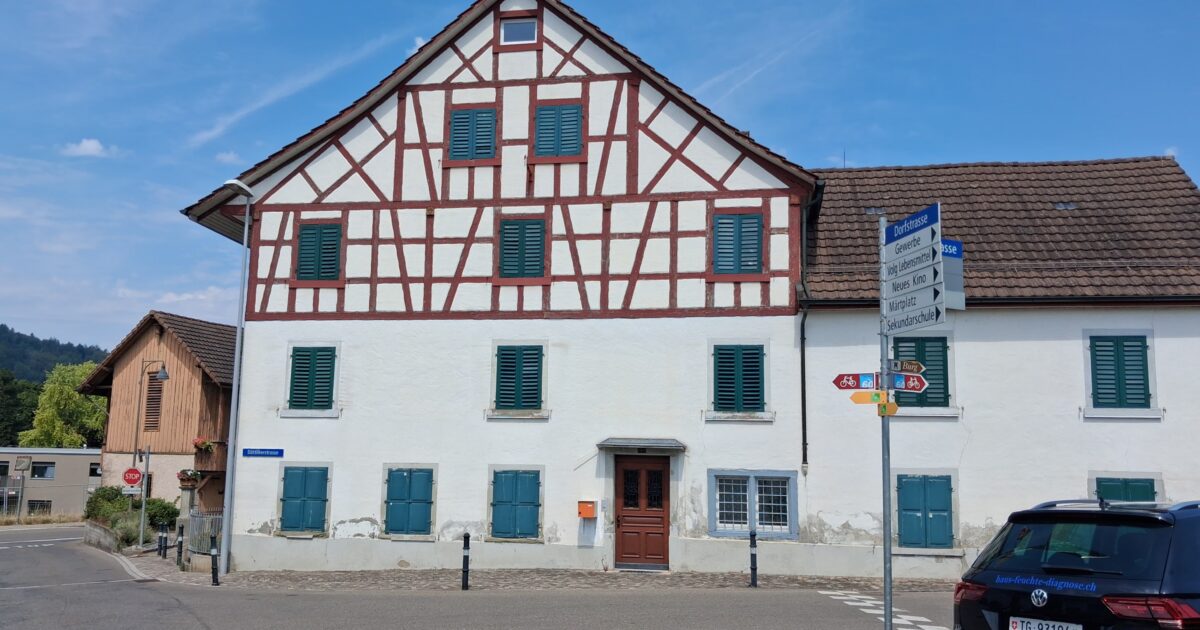 Haus Kauf Beratung – Die professionelle Haus Feuchte Diagnose vor dem Immobilienkauf