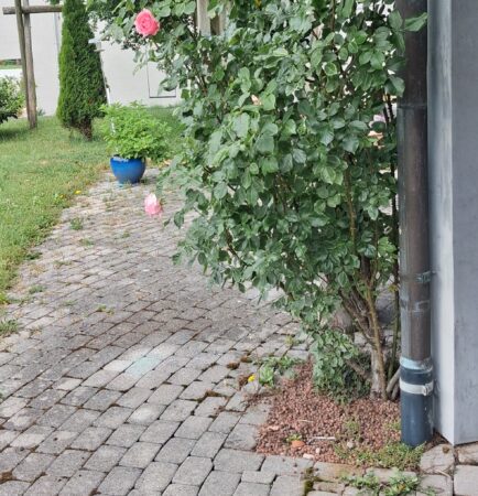 Terrain rund ums Haus beurteilen