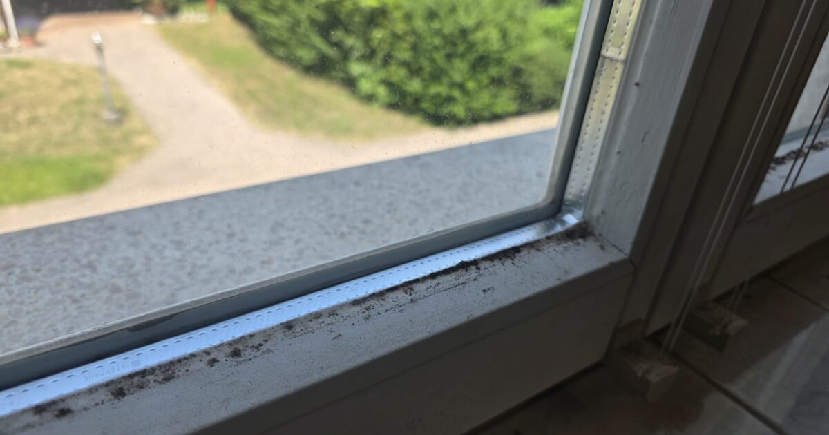 Fenster Sanierungsbedarf einschätzen