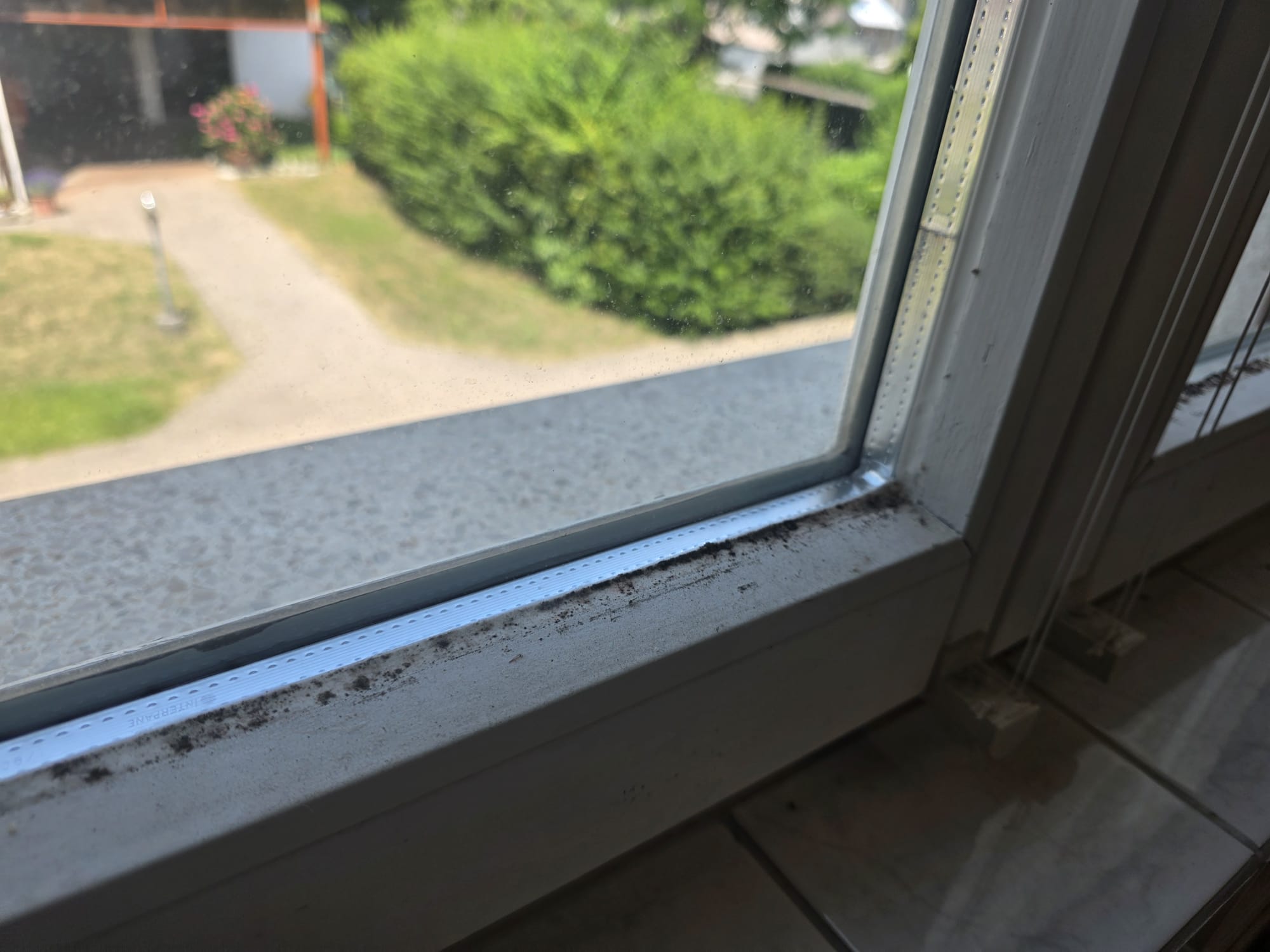Fenster Sanierungsbedarf einschätzen