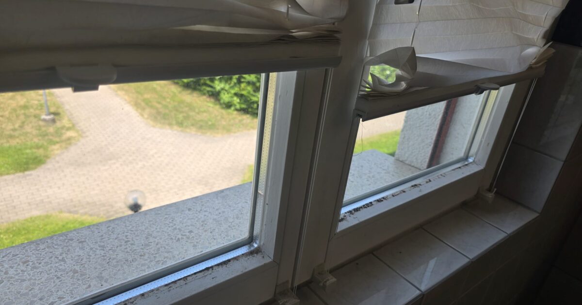 Kondenswasser am Fenster