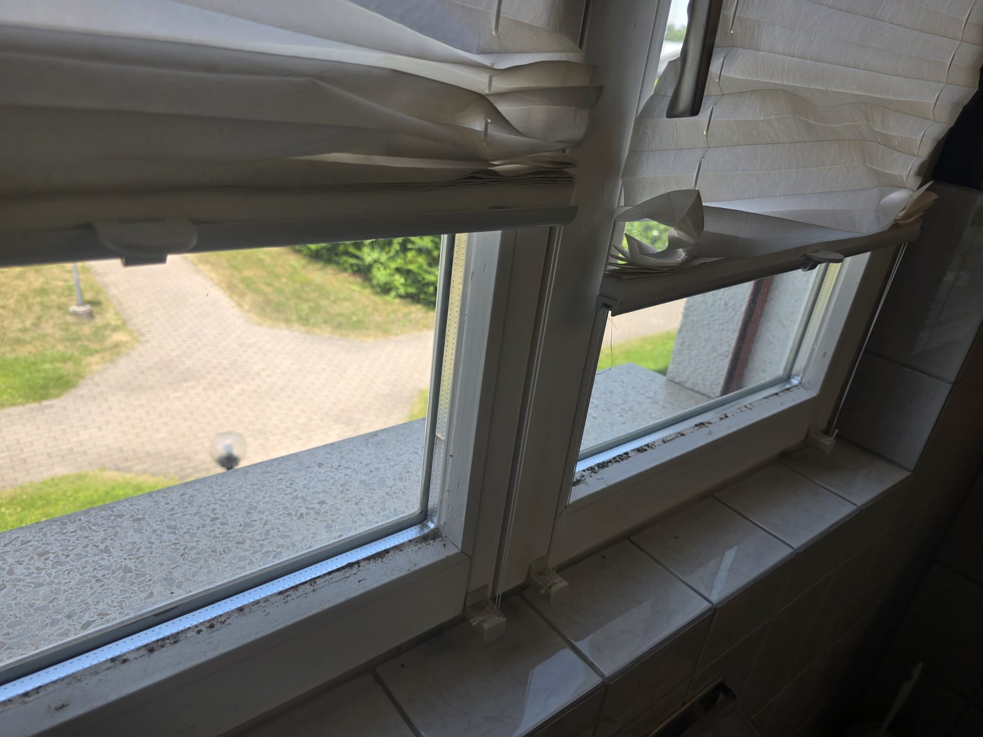 Kondenswasser am Fenster